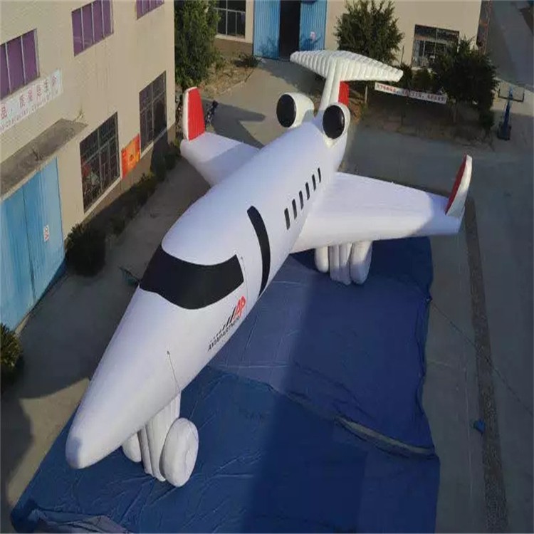 绍兴充气模型飞机